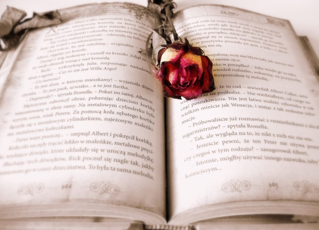 book, rose, book mark